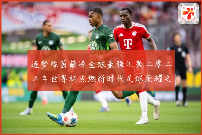 逐梦绿茵巅峰全球豪强汇聚二零二六年世界杯点燃新时代足球荣耀之数据研判-深度解析